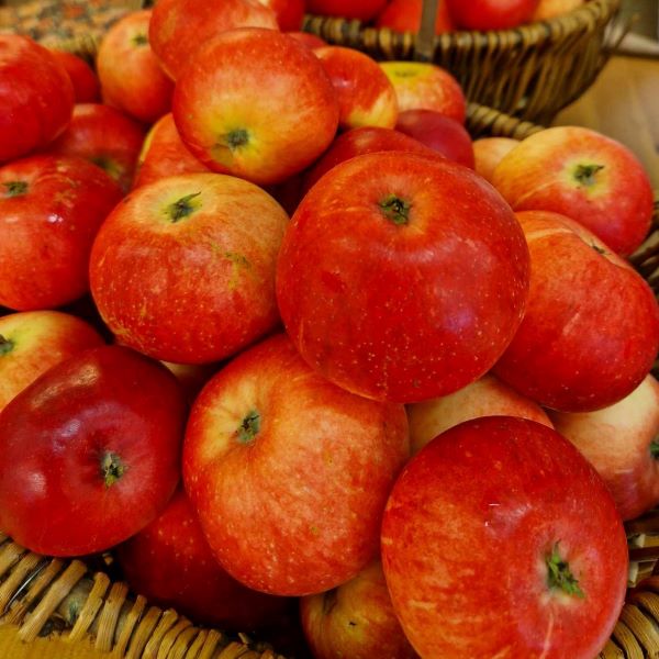 Äpple ekologiska från Orust