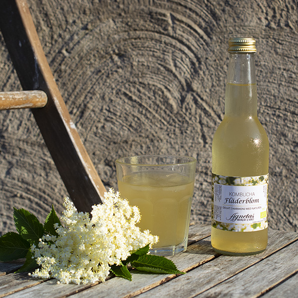 Kombucha Fläderblom 33 cl EKO
