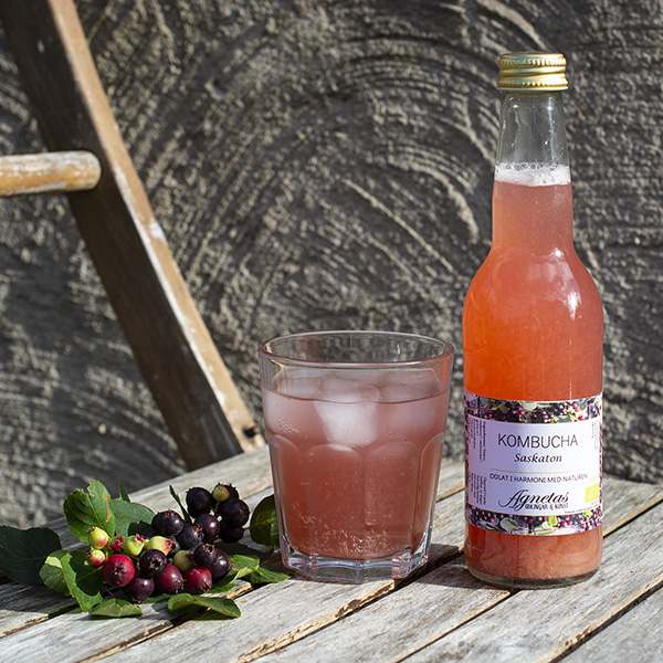 Kombucha  Saskaton 33 cl EKO