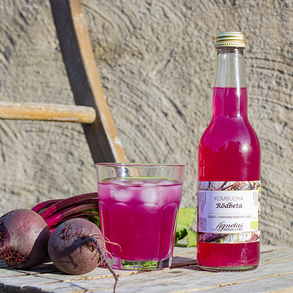 Kombucha Rödbeta 33 cl EKO