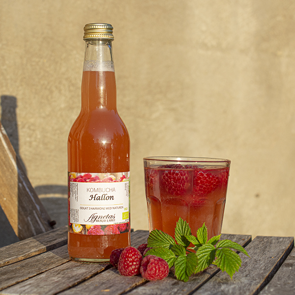 Kombucha Hallon 33 cl EKO
