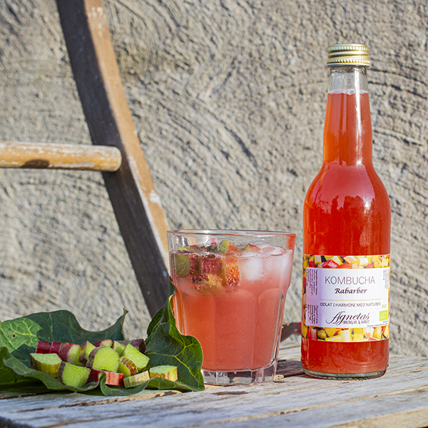 Kombucha rabarber 33 cl EKO