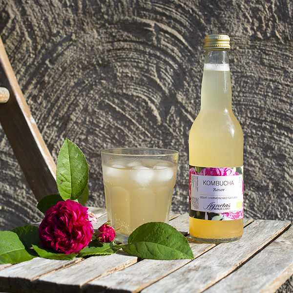 Kombucha Rosor 33 cl EKO